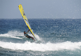 TOAN Wave95 2015